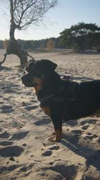 Fotograaf gezocht? Stuur mij een berichtje!, Ophalen of Verzenden