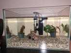 Compleet Aquarium met pomp en lamp. Grind en planten., Ophalen, Zo goed als nieuw, Leeg aquarium