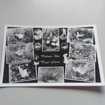 Kaart Vlieland - Het Vogel-Eiland, Verzamelen, Ansichtkaarten | Nederland, Ophalen of Verzenden, 1980 tot heden, Ongelopen, Waddeneilanden