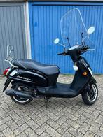 Sym Fiddle 2, Ophalen, Gebruikt, Benzine, Fiddle