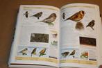 Vogels van Europa. Vliegpatronen - Nestgedrag..., Ophalen of Verzenden, Gelezen, Vogels