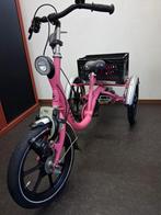 Driewieler voor kinderen vanaf 3 tot en met 9 jaar, Ophalen of Verzenden, Gebruikt, Van Raam mini