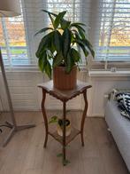 Prachtige Vintage houten plantentafel. Zeer goede staat!, Huis en Inrichting, Ophalen, Zo goed als nieuw