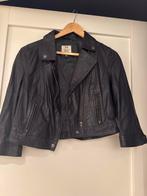 Nieuw Dept leren jasje - Maat L, Blauw, Maat 42/44 (L), Nieuw, Ophalen of Verzenden