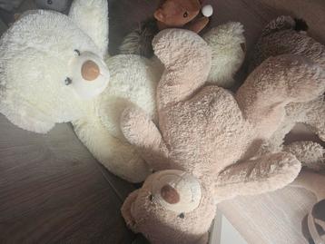 Knuffels beschikbaar voor biedingen