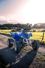 Yamaha Raptor 350, 350 cc