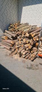 Haard hout eiken iepen beuken 3 tot 4 kuub, Minder dan 3 m³, Ophalen of Verzenden, Blokken