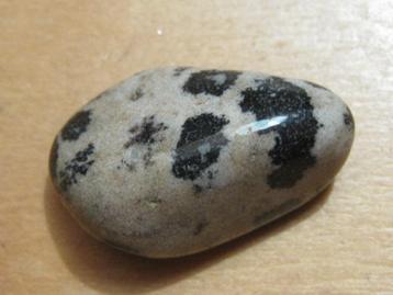 ed. 5x aparte edelsteen DALMATIER JASPIS (4) beschikbaar voor biedingen