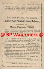 Genechten van Joannes 1880 Baelen  1919 x Thys - 21340, Bidprentje, Ophalen of Verzenden