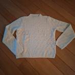 Dames trui MNG maat L, Kleding | Dames, Maat 42/44 (L), Ophalen of Verzenden, Zo goed als nieuw, Overige kleuren