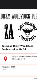 zaterdagtickets Dicky Woodstock Popfestival, Augustus, Eén persoon