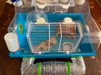 Hamsterkooi met accessoires. 40cm bij 30cm. Merk Savic, Minder dan 75 cm, Minder dan 60 cm, Zo goed als nieuw, Hok