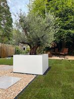 Stalen plantenbakken, Tuin, 100 cm of meer, Nieuw, Ophalen of Verzenden