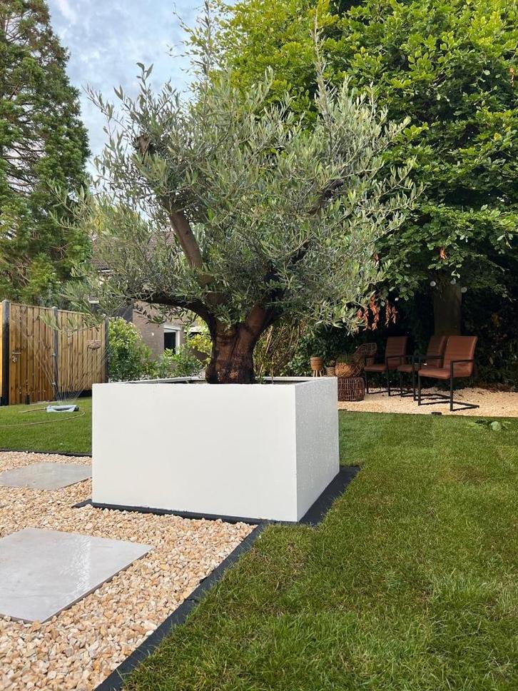 Stalen plantenbakken, Tuin en Terras, Bloembakken en Plantenbakken, Nieuw, Metaal, Binnen, Balkon, Tuin, 60 cm of meer, 100 cm of meer