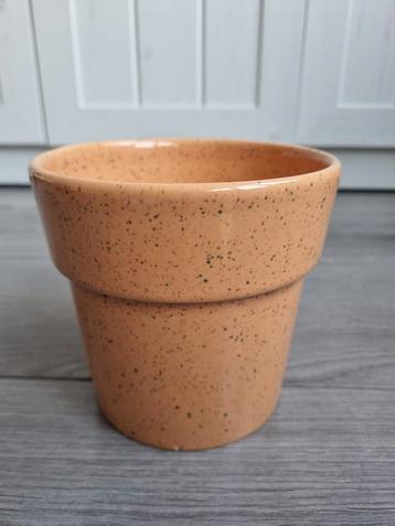 Oranje bloempot beschikbaar voor biedingen
