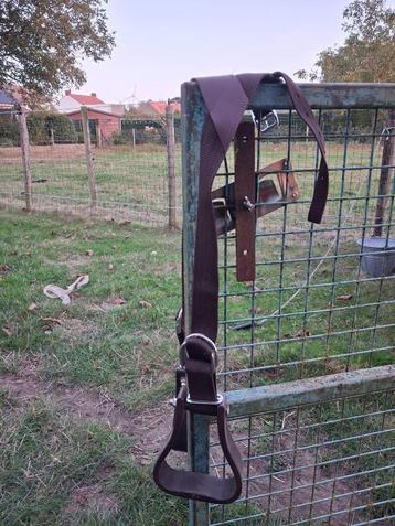 Kinderbeugels voor over de knop van het Westernzadel. beschikbaar voor biedingen