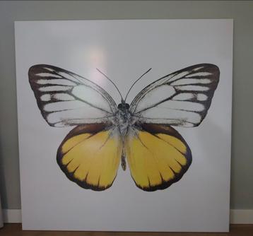 Gele Vlinder Fotoprint op houten frame 150x150cm beschikbaar voor biedingen
