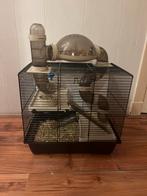 Hamsterkooi & hamsters, Dieren en Toebehoren, Knaagdieren en Konijnen | Hokken en Kooien, Kooi, Minder dan 75 cm, Hamster, Ophalen