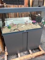 Aquarium als nieuw met verlichting, Ophalen, Zo goed als nieuw, Leeg aquarium