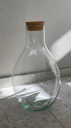 The green bottle, succulent garden, stolp, terrarium, 39 cm, Ophalen, Zo goed als nieuw