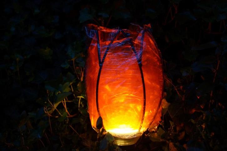 straatversiering  lampen tulp hoogte 30 a 40 cm  30 stuks, Hobby en Vrije tijd, Feestartikelen, Zo goed als nieuw, Versiering