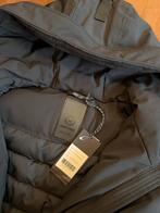 Airforce Parka Dames Maat L Nieuw, Kleding | Dames, Jassen | Winter, Ophalen, Nieuw, Maat 42/44 (L), Blauw