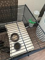 hamster vrouwtje met kooi, Dieren en Toebehoren, Kooi, Minder dan 75 cm, Zo goed als nieuw, Hamster