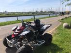 Yamaha Raptor 660 – 2005 – Origineel NL Kenteken, Motoren, Quads en Trikes, 660 cc, Meer dan 35 kW, 1 cilinder