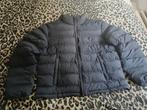 Daily Paper padded jas, mt M, Kleding | Heren, Jassen | Winter, Ophalen of Verzenden, Nieuw