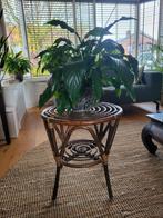 Vintage Mid-Century  Rotan Bijzettafel / Plantenstandaard, Verzamelen, Retro, Ophalen, Huis en Inrichting