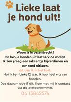 Hondenuitlaatservice, Dieren en Toebehoren, Ophalen of Verzenden, Nieuw