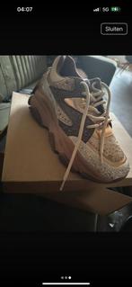 Steve Madden Sneakers - Maat 38 - Nieuw!, Ophalen of Verzenden, Nieuw
