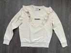 Meisjes trui / sweater / longsleeve Raizzed mt 16 / 176, Kinderen en Baby's, Kinderkleding | Maat 176, Gebruikt, Meisje, Trui of Vest