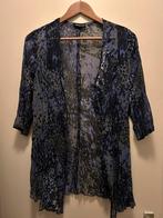 Frank Walder blouse, Kleding | Dames, Blouses en Tunieken, Paars, Maat 42/44 (L), Ophalen of Verzenden, Gedragen