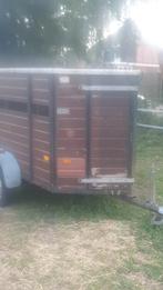 Schaapen karetje, Dieren en Toebehoren, Schapen, Geiten en Varkens, Vrouwelijk, Geit