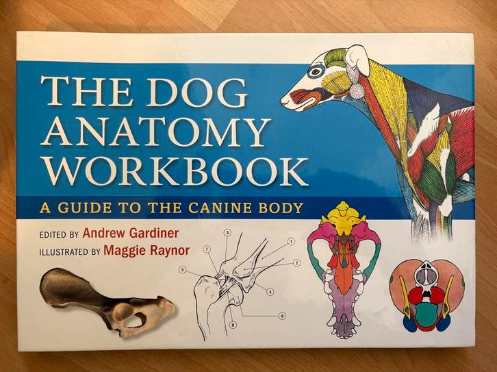 The Dog Anatomy Workbook, Boeken, Dieren en Huisdieren, Zo goed als nieuw, Honden, Ophalen of Verzenden
