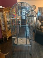 Papegaaien kooi, Ophalen of Verzenden, Zo goed als nieuw, Metaal, Vogelkooi