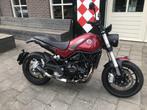 Benelli LEONCINO 500 ABS A2 (bj 2021), Naked bike, Bedrijf, 2 cilinders, 500 cc