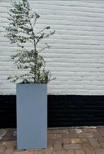 Metalen bakken vuilnisbakken plantenbakken grijs, Antiek en Kunst, Ophalen