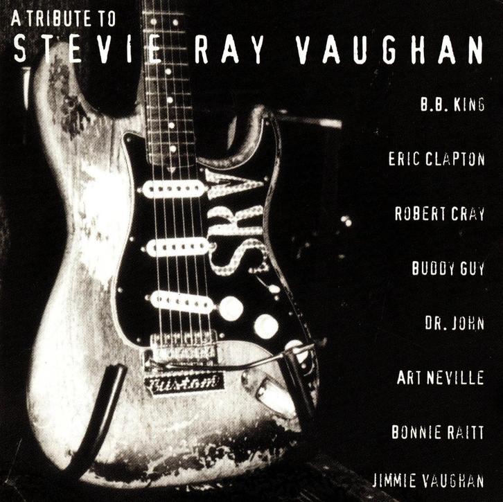 CD VA A Tribute to Stevie Ray Vaughan, Cd's en Dvd's, Cd's | Jazz en Blues, Zo goed als nieuw, Blues, 1980 tot heden, Ophalen of Verzenden