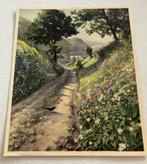 Plaat 26 (holle weg) uit Verkade-album ‘Waar wij wonen’ (193, Verzenden, Zo goed als nieuw, Jac. P. Thijsse - Verkade, Plaatjesalbum