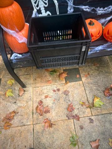 Fiets krat beschikbaar voor biedingen