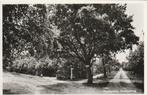 DWINGELOO Bosbadweg, Verzenden, 1960 tot 1980, Gelopen, Drenthe