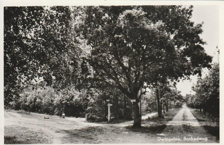 DWINGELOO Bosbadweg, Verzamelen, Ansichtkaarten | Nederland, Gelopen, Drenthe, 1960 tot 1980, Verzenden