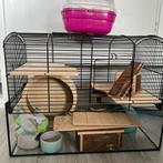 Glazen hamsterkooi, Dieren en Toebehoren, Knaagdieren en Konijnen | Hokken en Kooien, Ophalen, Kooi, Gebruikt, 60 tot 90 cm