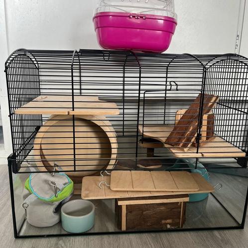 Glazen hamsterkooi, Dieren en Toebehoren, Knaagdieren en Konijnen | Hokken en Kooien, Gebruikt, Kooi, 60 tot 90 cm, 75 tot 110 cm