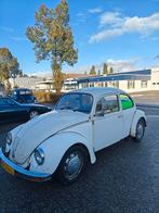 Mexico project Kever 1983, Auto's, Oldtimers, Particulier, Te koop