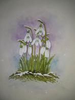 Aquarel Sneeuwklokjes, Ophalen of Verzenden