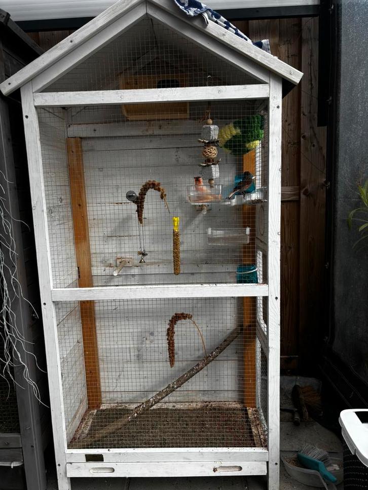 Houte volire, Dieren en Toebehoren, Vogels | Hokken en Kooien, Zo goed als nieuw, Vogelkooi, Hout, Ophalen of Verzenden