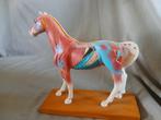 Vintage acupunctuur model, leermiddel paard, Antiek en Kunst, Ophalen of Verzenden